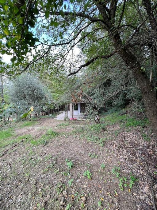Eco-Chic Retreat: Countryside Oasis Near Florence Pozzolatico Exterior foto