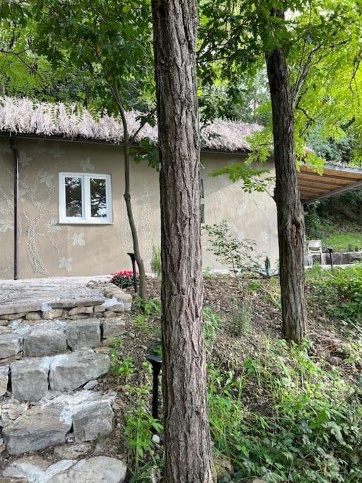 Eco-Chic Retreat: Countryside Oasis Near Florence Pozzolatico Exterior foto